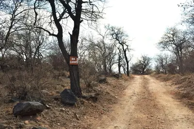 a dirt road with a sign on a tree at Bush Babies Camp in Cambridge