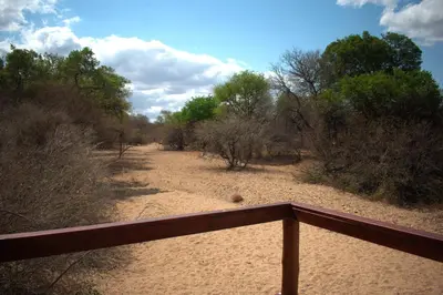 a view of a dirt field with trees and a fence at Bush Babies Camp in Cambridge