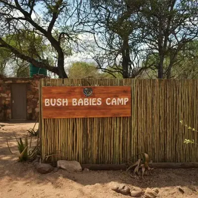 Bush Babies Camp
