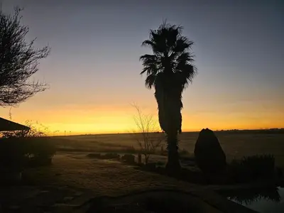 a palm tree in front of a sunset at Doringdraad Lodge Nala and Zazu in Brendan Village