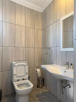a bathroom with a toilet and a sink at Yinjwasi Hill guest house in Armburg