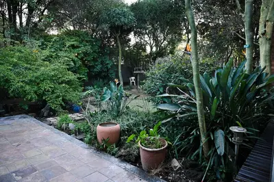 a garden with potted plants in a yard at Morning Star Guest House in Kempton Park