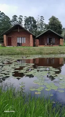 a house and a pond with lilies in front of it at Harnham Mountain Lodge in Elsteg