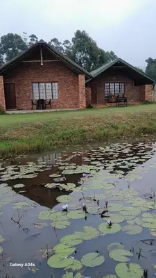 a building with a pond with lily pads in it at Harnham Mountain Lodge in Elsteg