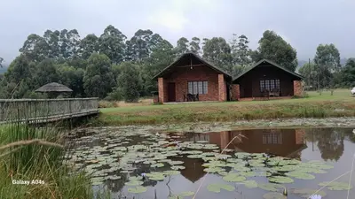 a building next to a pond with lily pads at Harnham Mountain Lodge in Elsteg