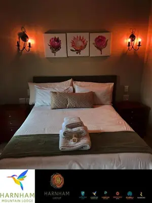 a bedroom with a large bed with two pictures on the wall at Harnham Mountain Lodge in Elsteg