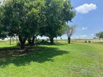 two trees in a grassy field with a fence at Doringdraad Lodge Room Rafiki in Brendan Village