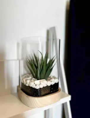 a plant in a glass bowl on a table at A Private Room with a Private Entrance in Olifantsfontein