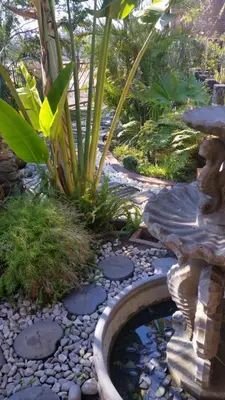 a garden with a small pond and a fountain at Texas Guesthouse in Phalaborwa