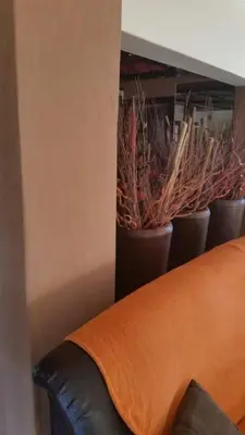 a couch sitting next to some plants in pots at Texas Guesthouse in Phalaborwa
