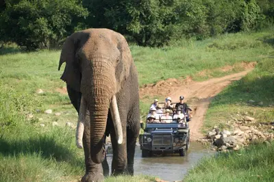 a group of people riding in a truck behind an elephant at Karongwe - Kuname Safari Lodge in Hoedspruit