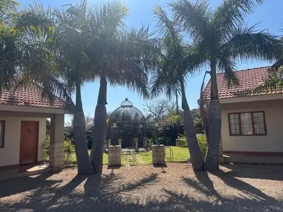 a group of palm trees in front of a building at C'est Si Bon Accommodation at 03 Beitel, Mokopane in Mokopane