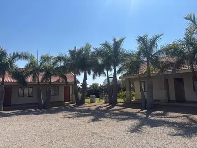 a group of palm trees in front of a house at C'est Si Bon Accommodation at 03 Beitel, Mokopane in Mokopane