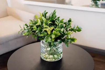 a vase of flowers sitting on a table at Modern & Peaceful Studio in Pretoria