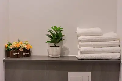 a shelf with towels and a potted plant on it at Capital City Luxury Apartment 830 Menlyn Maine in Pretoria