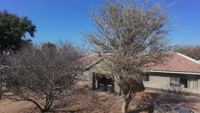 a house with two trees in front of it at Rupping Bush Retreats in Mmukubyane