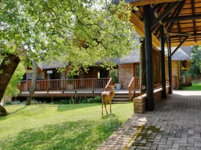 a deer standing in the grass in front of a house at Kruger Park Lodge Unit 268 & Unit 531 in Hazyview