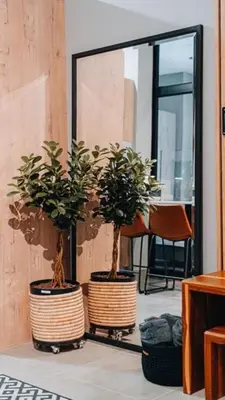 two potted plants sitting in front of a mirror at Urban Gem on 18th Prime Location in Pretoria