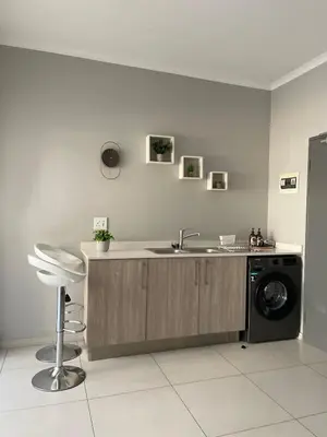 a kitchen with a sink and a washing machine at Kurhula Suite Apartment in midrand in Midrand