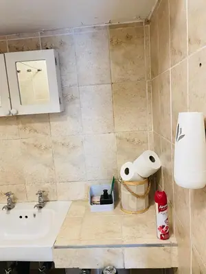 a bathroom with a sink and a roll of toilet paper at Sunnyside hidden gem in Pretoria