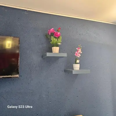 a blue wall with three shelves with flowers on it at Yello Guest House and Spa in Louis Trichardt