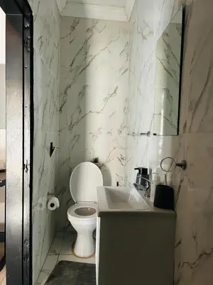 a bathroom with a toilet and a sink at Enawe Lodge in Erasmus