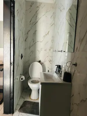 a bathroom with a toilet and a sink at Enawe Lodge in Erasmus