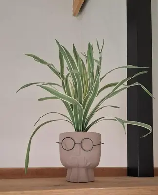 a potted plant with glasses sitting on a table at TheView Marloth Lodge in Marloth Park