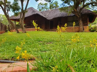 a house with a grass yard with yellow flowers at Inkonka Game farm