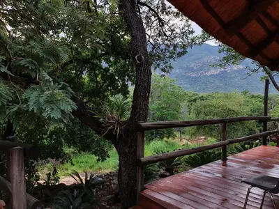 a wooden deck with a tree and mountains in the background at Inkonka Game farm