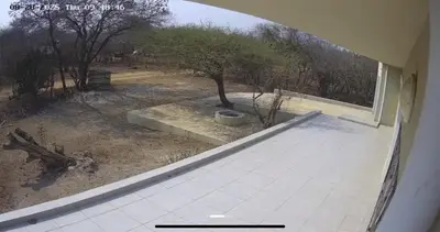 a view of a yard from a window of a house at Wildlife Oasis in Marloth Park