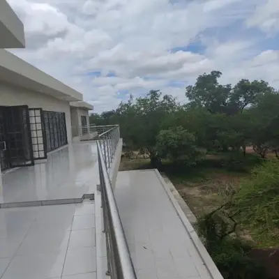 Wildlife Oasis