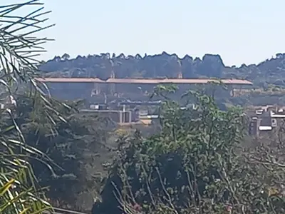 a view of a city with trees and buildings at Ormonde guesthouse in Pretoria