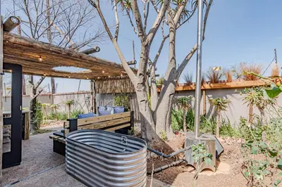 a patio with a tree and a barrel at Nature's Nest in Pretoria