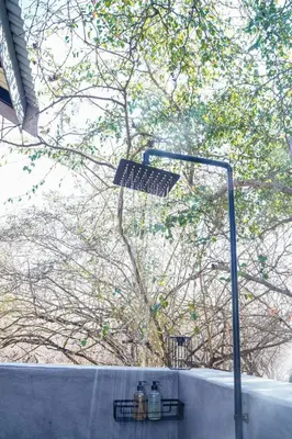 a street light in front of a tree at Amani Luxury Villa Marloth Park in Marloth Park