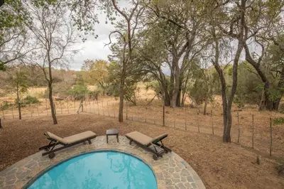 a swimming pool with two loungers and two chairs at Karongwe - Noka House in Hoedspruit