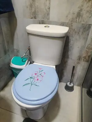 a bathroom with a toilet with a flower painted on it at Stofberg Guest House in Brits