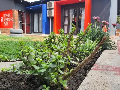a plant in a garden in front of a building at Stofberg Guest House in Brits