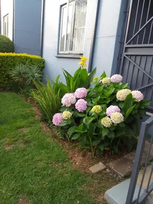 Gallery image of Auntie Joy Home in Pretoria