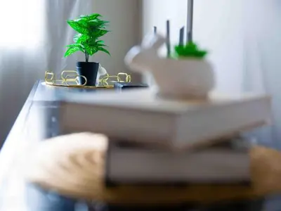 a table with a book and a plant on it at Luxury on New in Midrand