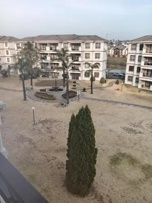 a green bush in the middle of a courtyard with buildings at Phoenix Living in Midrand