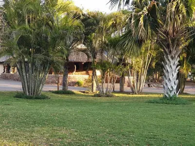 a park with palm trees and a building at Tintshaba Safaris in Phalaborwa