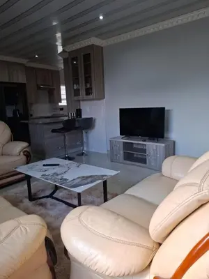 a living room with couches and a tv and a table at Entire Modern House!!- Middelburg in Middelburg