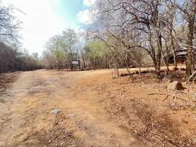 a dirt road in the middle of a forest at Kettie&Klip Self Catering Accommodation in Marloth Park