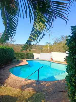 a swimming pool in a yard with a palm tree at Zamabhele Properties in Nelspruit