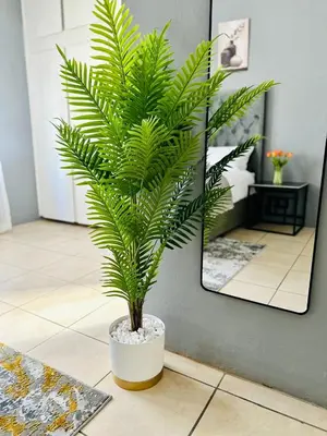 a green plant in a white pot in a room at SerenityStay 37 on Zebra in Polokwane