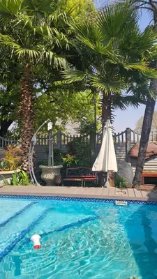 a swimming pool with palm trees and an umbrella at Rose Vintage Cottage in Pretoria