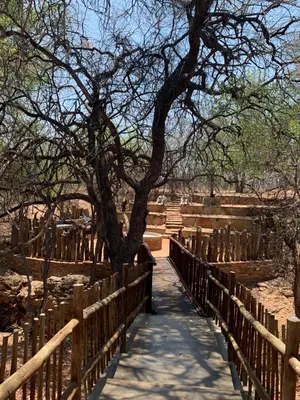 a wooden bridge with a tree and a fence at Moyo Safari Lodge in Alldays