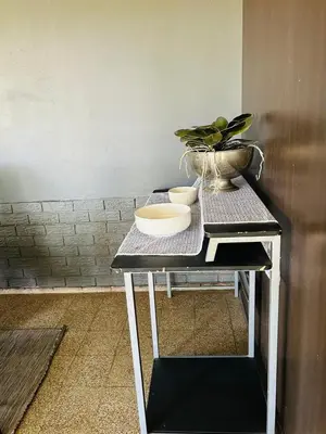 a table with two bowls and a plant on it at Bird & Bed Farmhouse in Brits