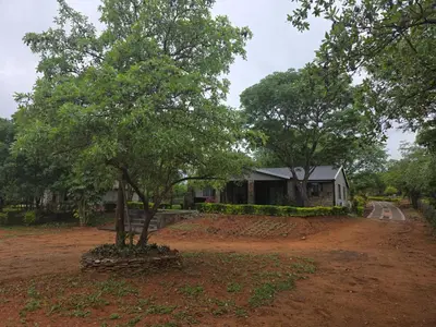 a house with a tree in the middle of a dirt road at Nandoni Maritime Home in Thohoyandou